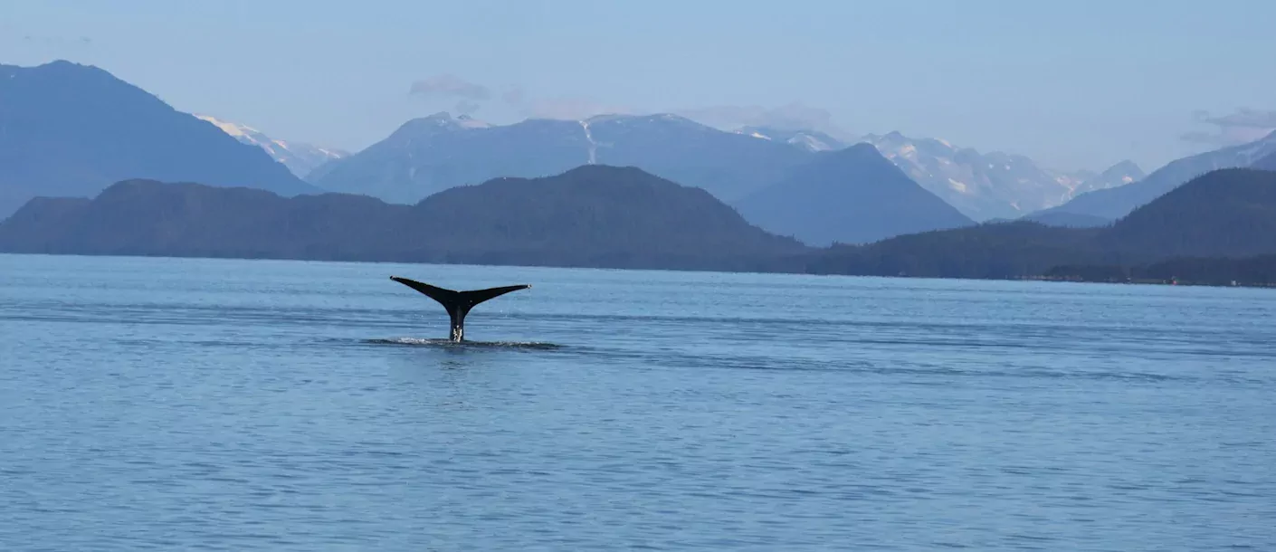 juneau, juneau, united states.webp