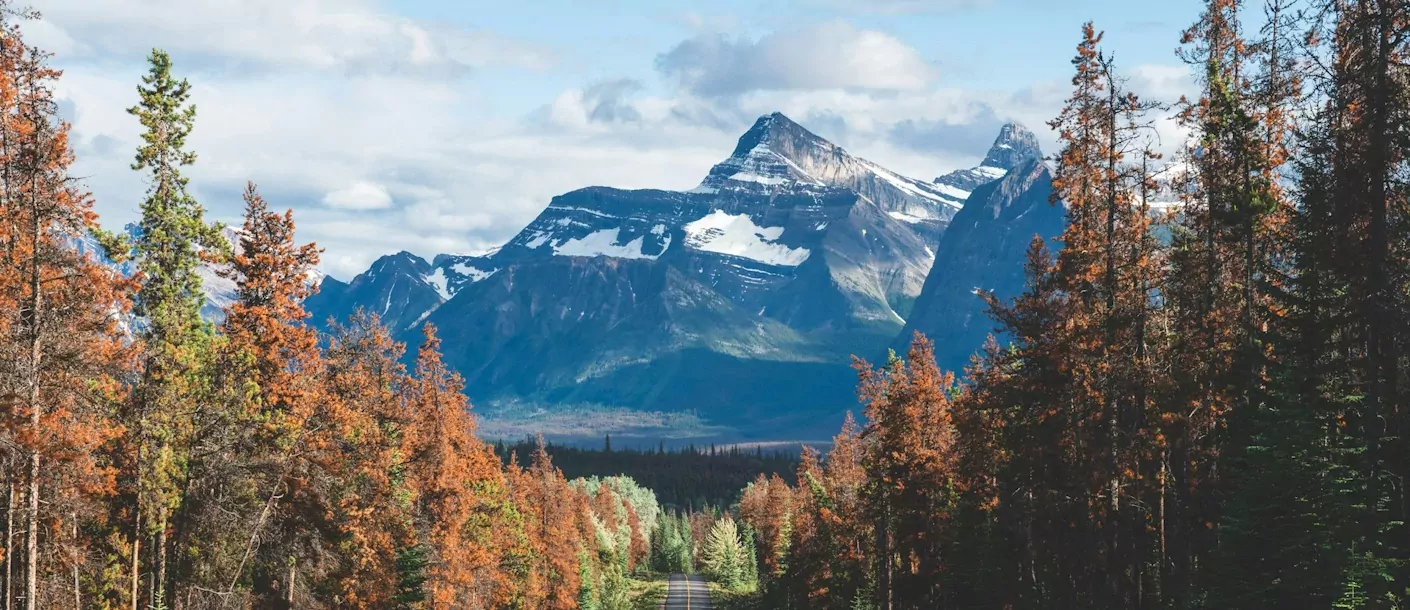 jasper national park of canada, jasper, ab, canada.webp