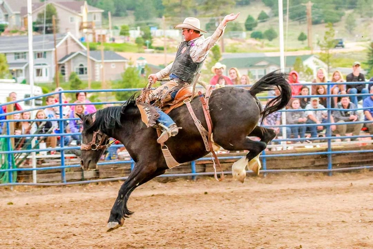 bryce canyon rodeo.webp