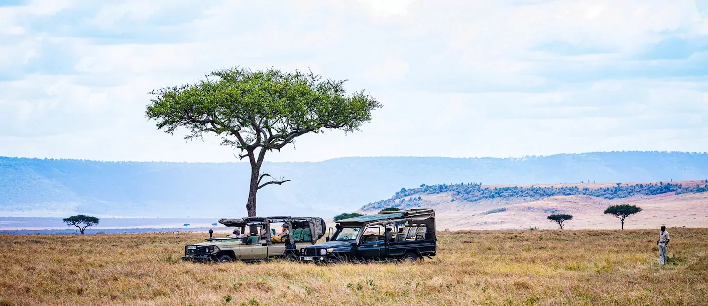 masai mara - landschap en 2 jeeps.webp