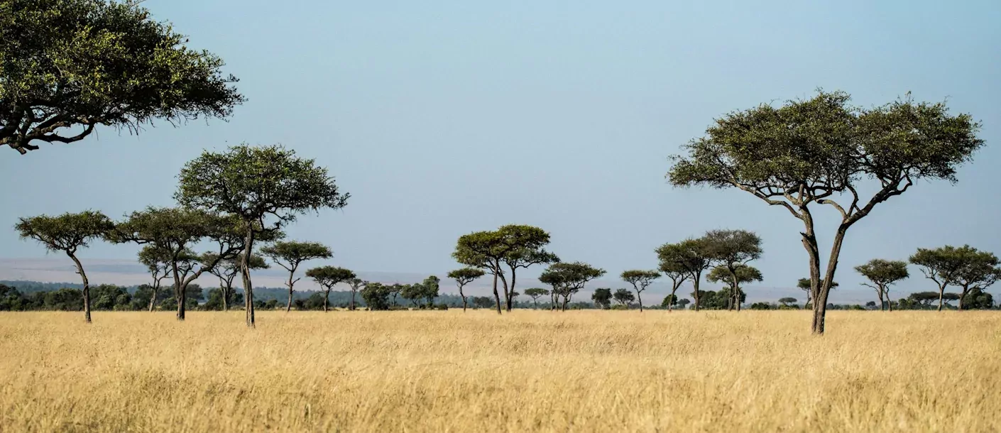 masai mara - landschap (2).webp