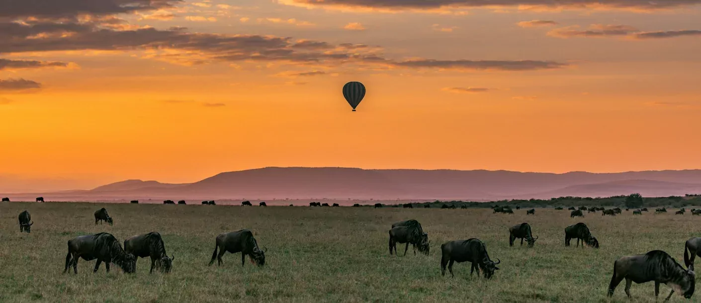 great rift valley.webp