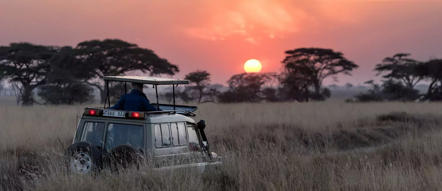 serengeti - game drive met zonsopgang.webp