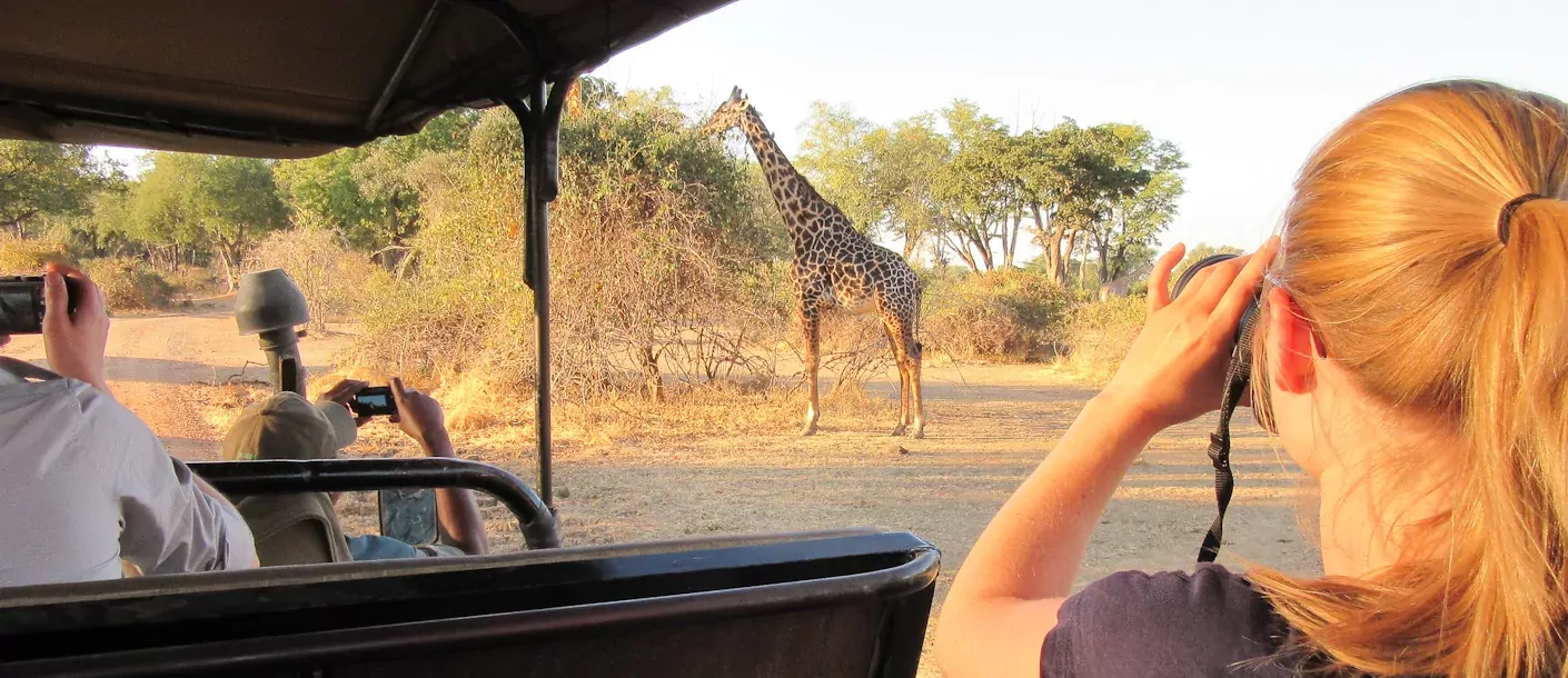 zambia south luangwa .webp