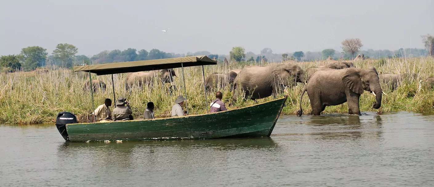 mvuu malawi liwonde safari op water.webp