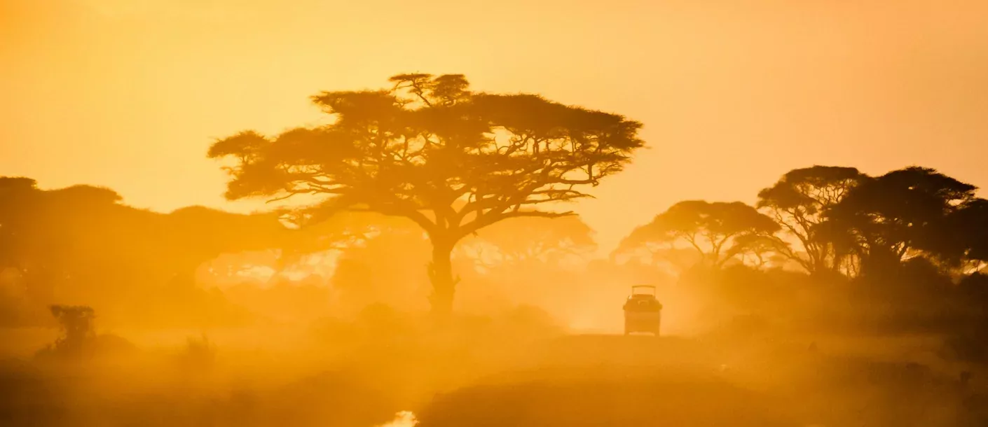 kenia - amboseli zonsopgang.webp