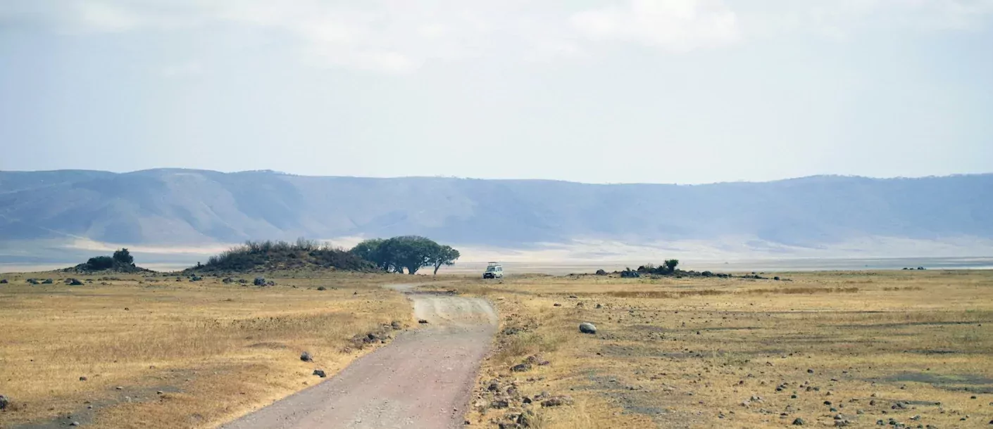serengeti - landschap met jeep.webp