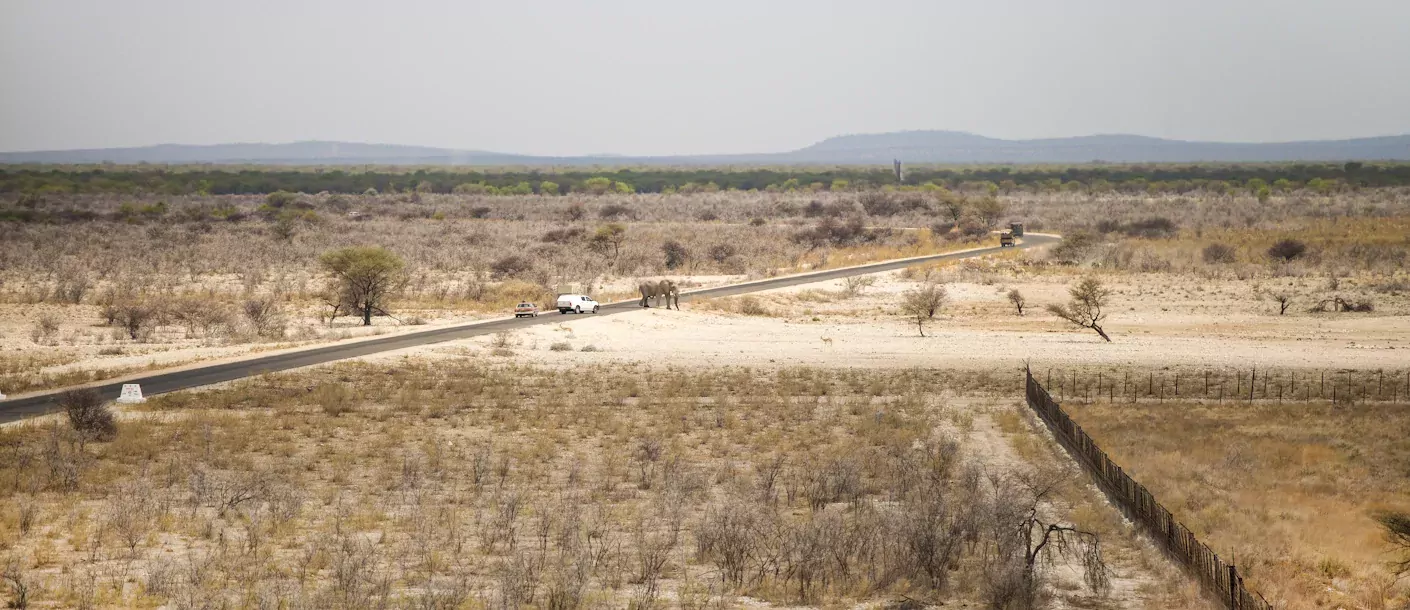 etosha (2).webp