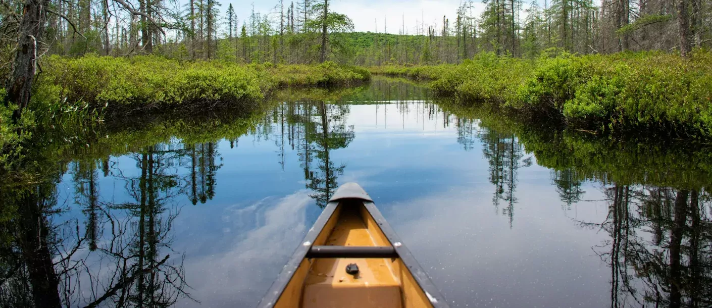 algonquin park, on, canada.webp