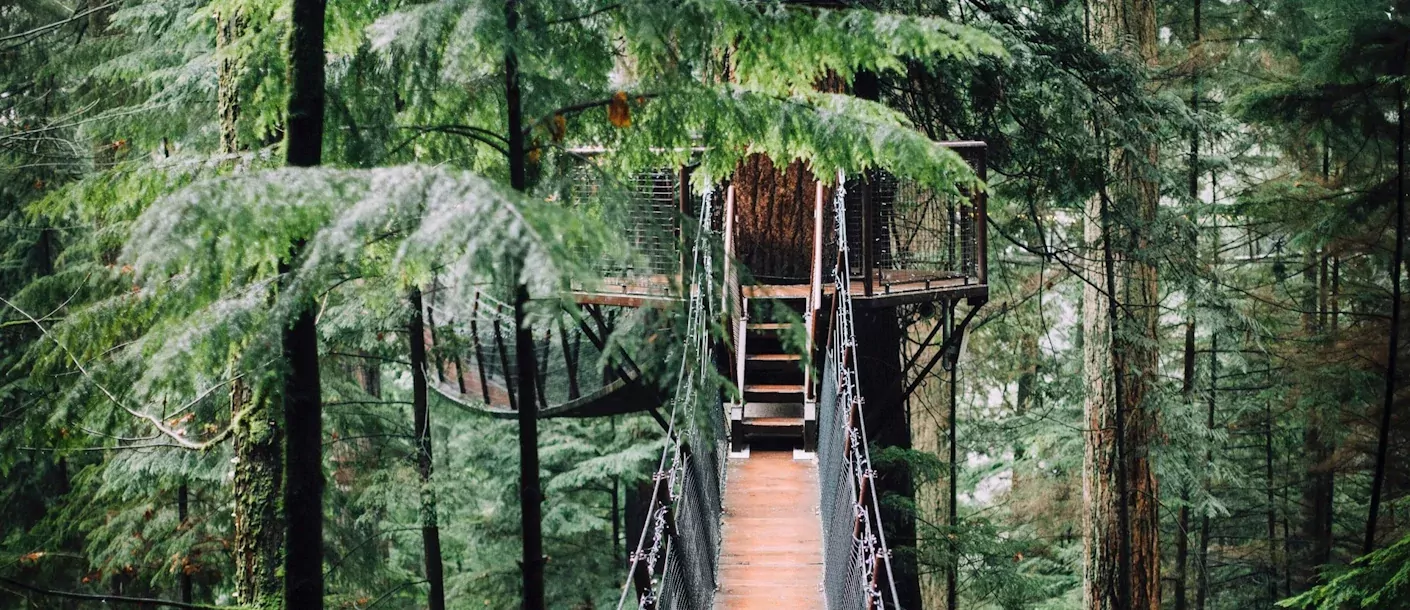 vancouver, bc, canada suspension bridge.webp