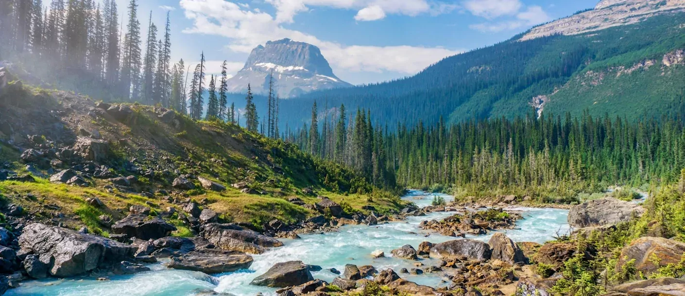 yoho national park.webp