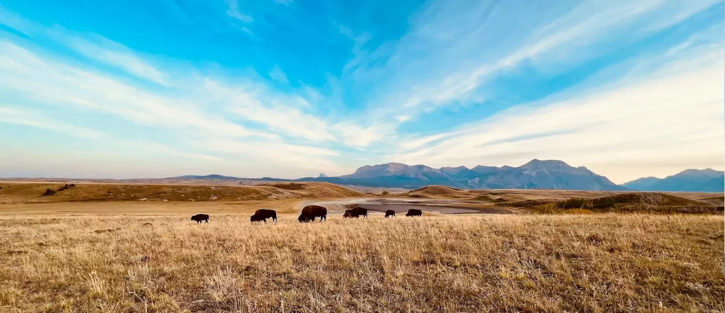 waterton lakes canada 2.webp