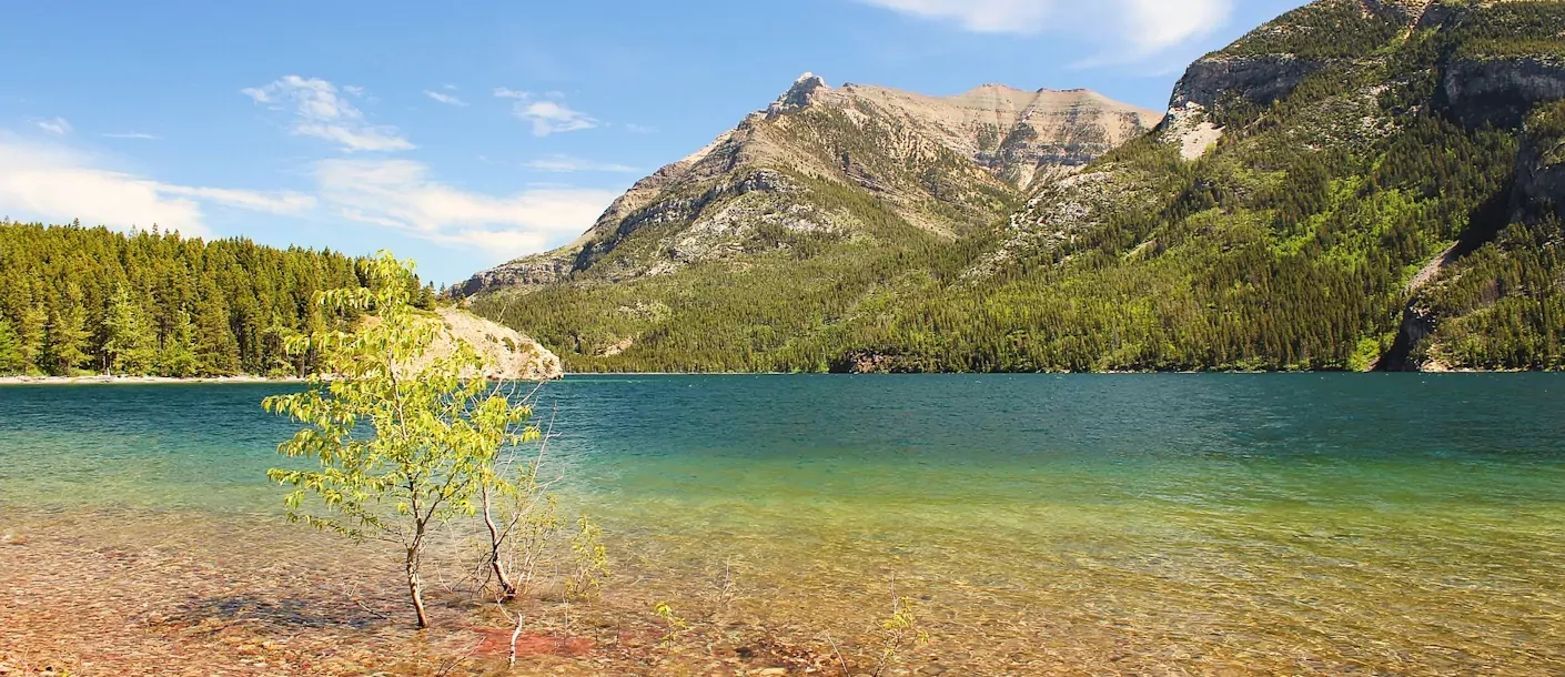 waterton lakes canada.webp