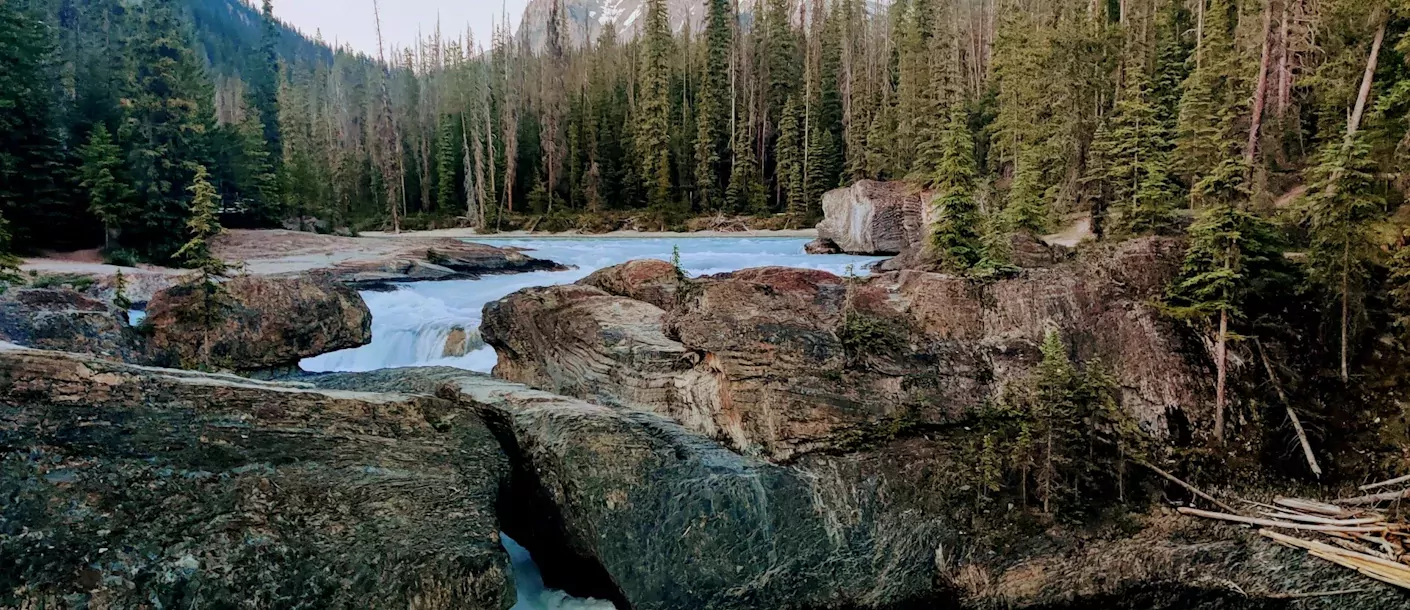 yoho national park.webp