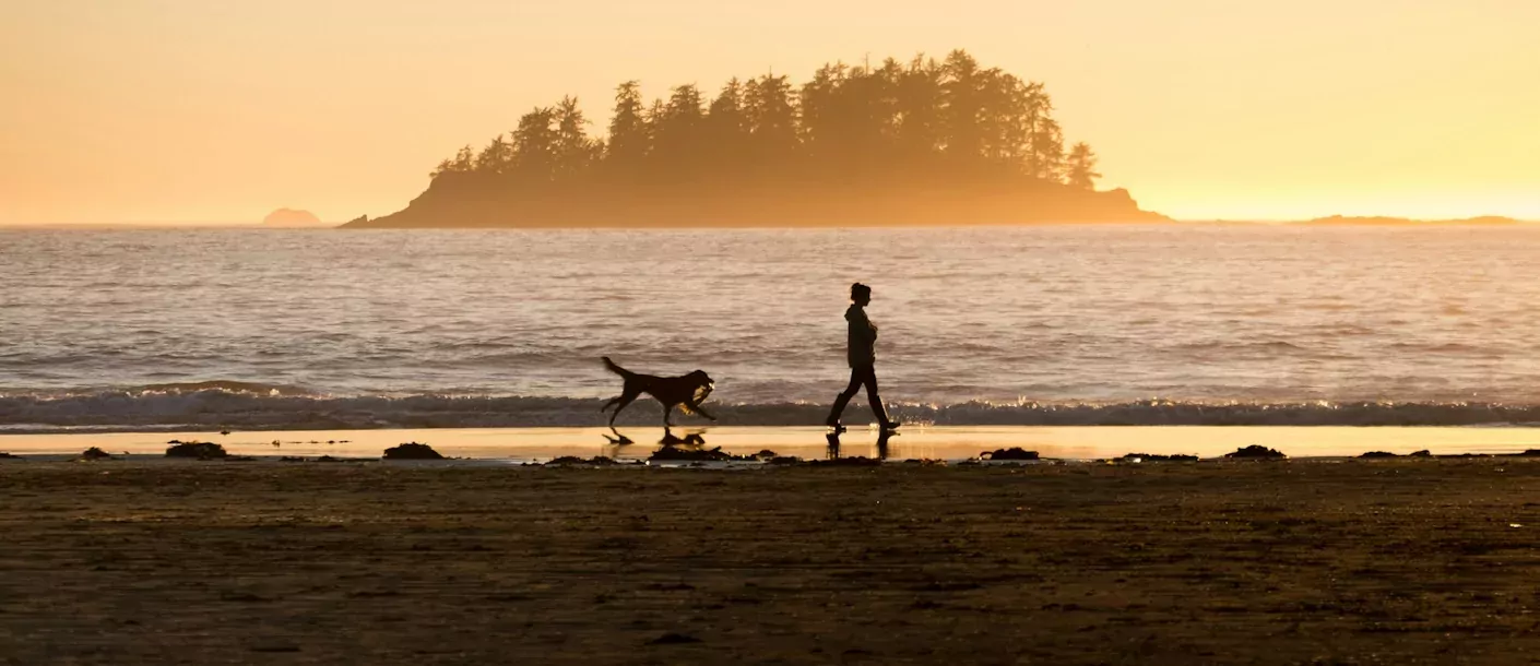 beach strand canada.webp