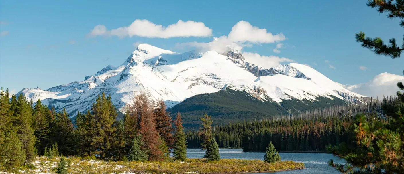 jasper national park, jasper, canada 2.webp