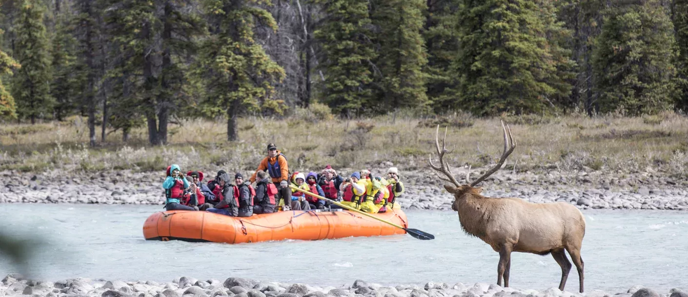 athabasca river.webp