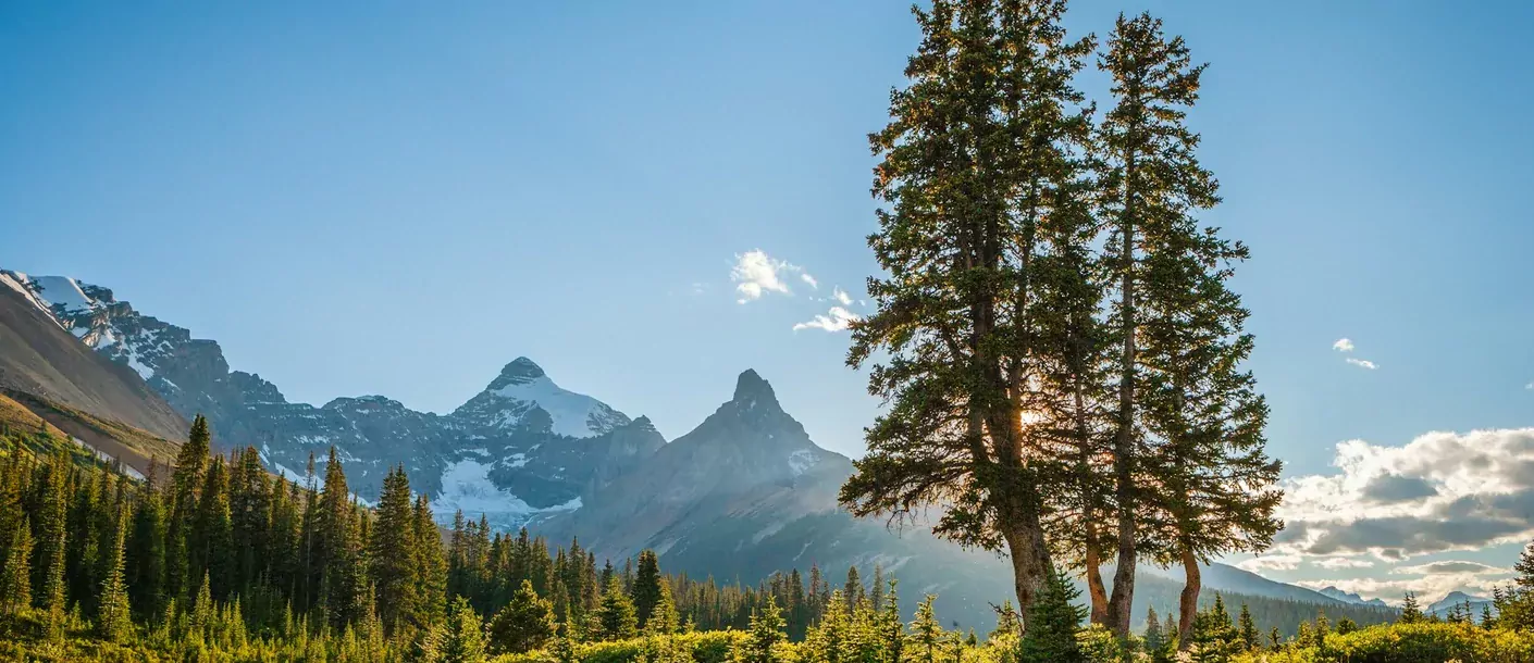 jasper national park canada.webp