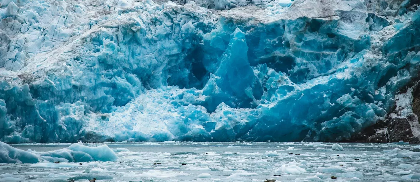 galcier gletsjer cruise alaska canada.webp