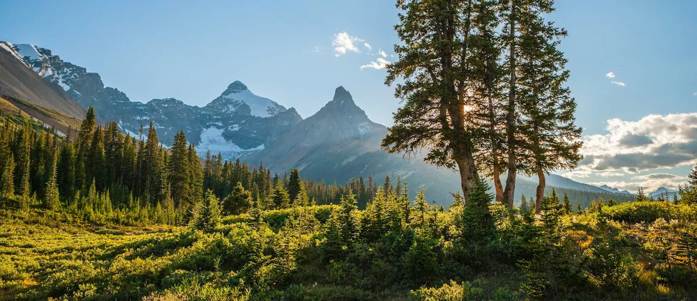 jasper national park canada.webp