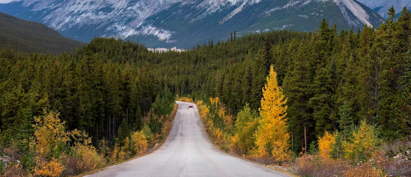 jasper national park canada weg route autoreis.webp