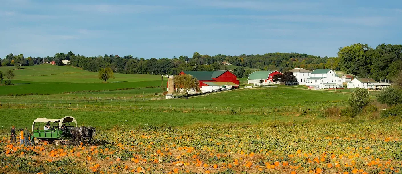 amish-country.webp