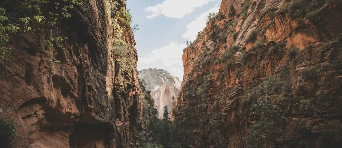 zion-national-park.webp