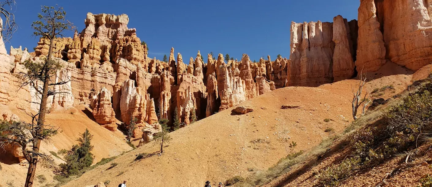 bryce canyon.webp