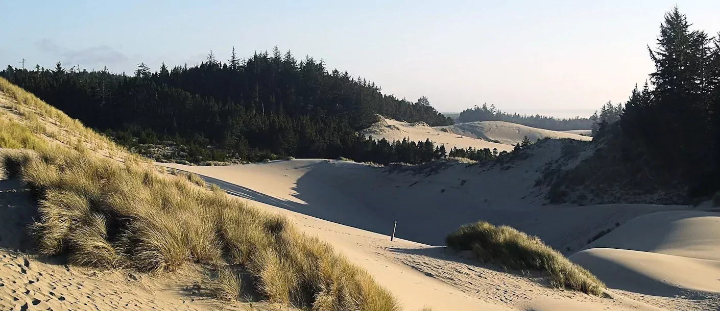 oregon-dunes.webp