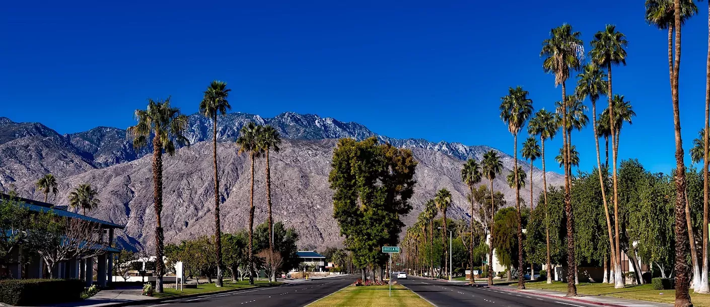 palm-springs.webp