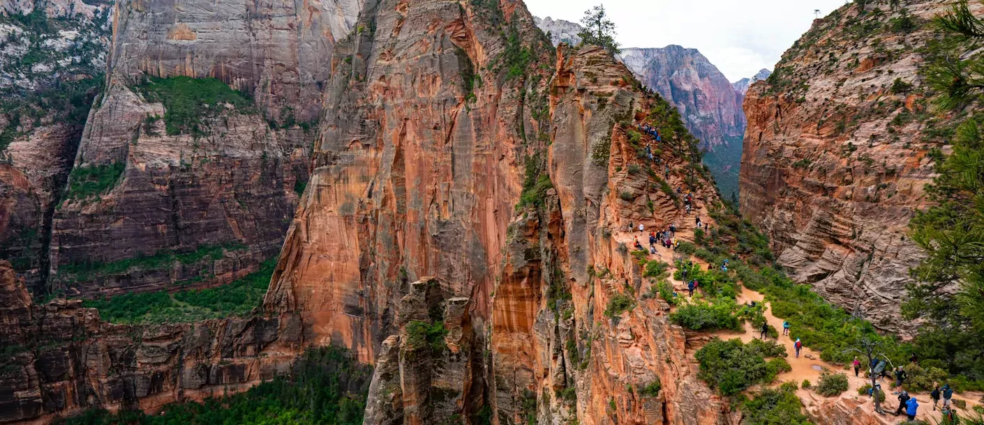 zion-national-park.webp