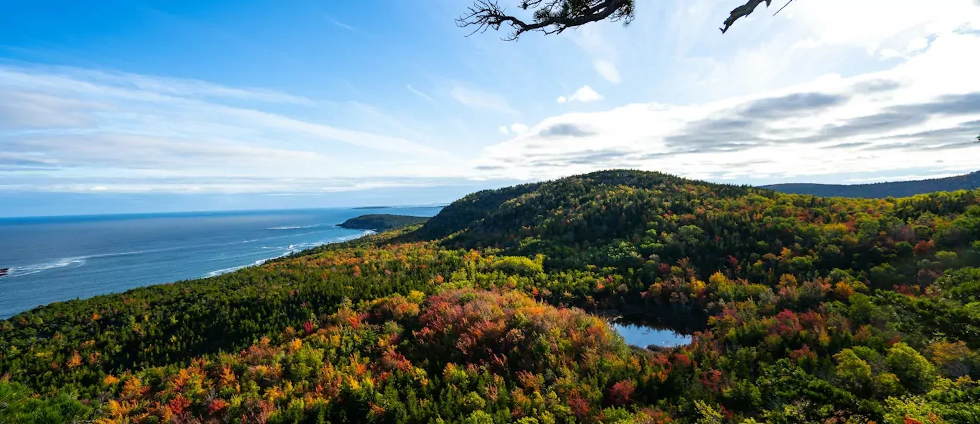 acadia-national-park.webp