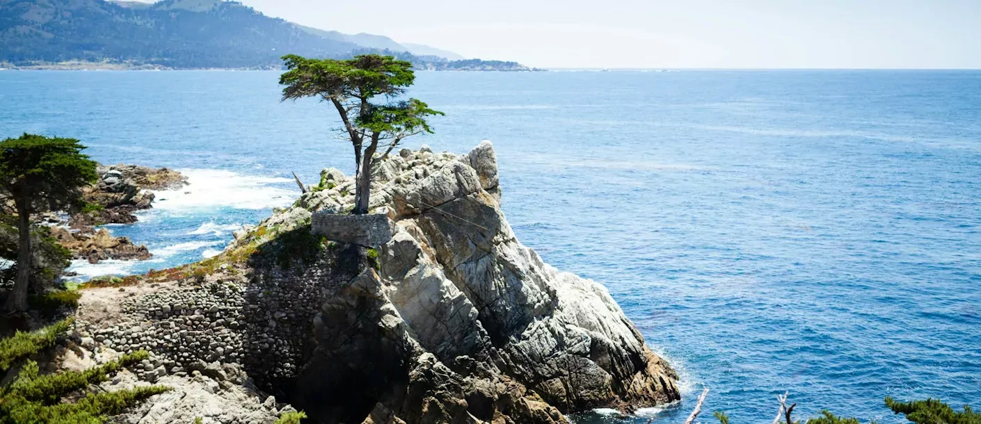 moneterey-lone-cypress.webp