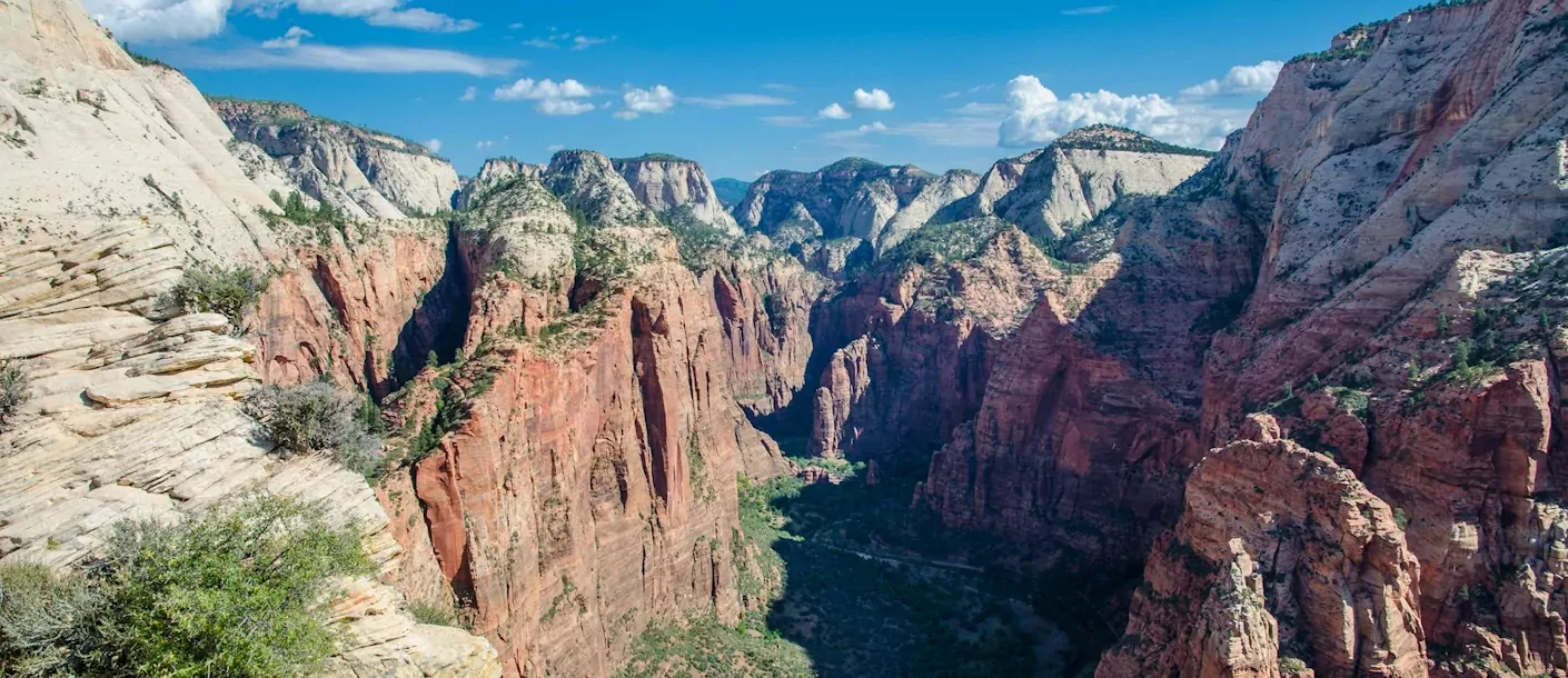 zion-np.webp