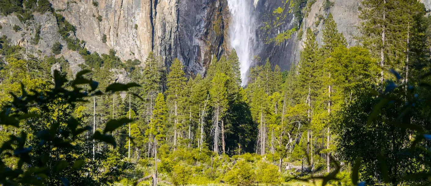 yosemite-falls.webp