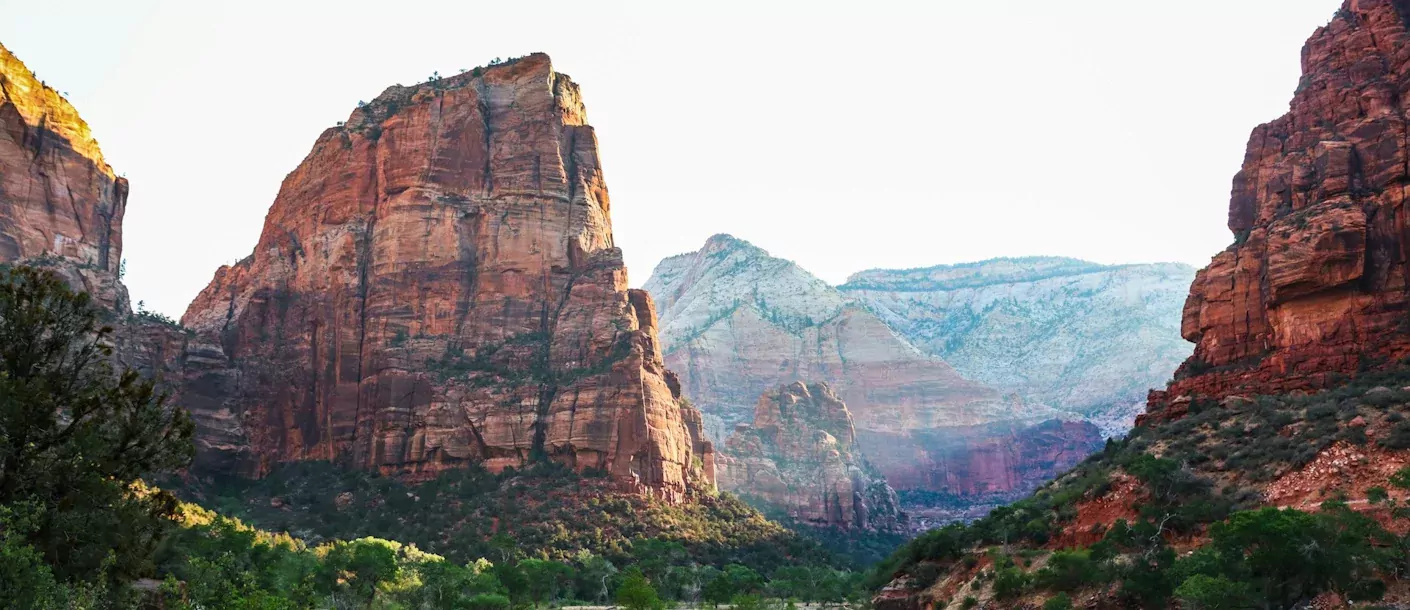 zion-np.webp