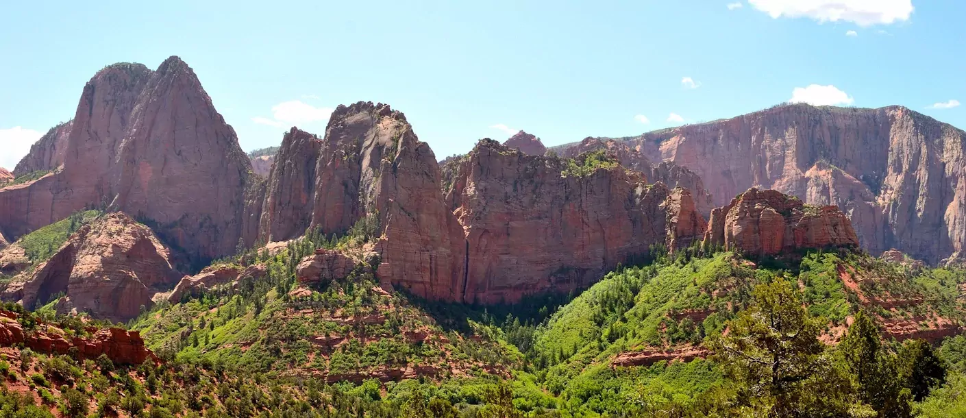 zion-np.webp