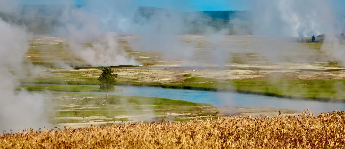 yellowstone.webp