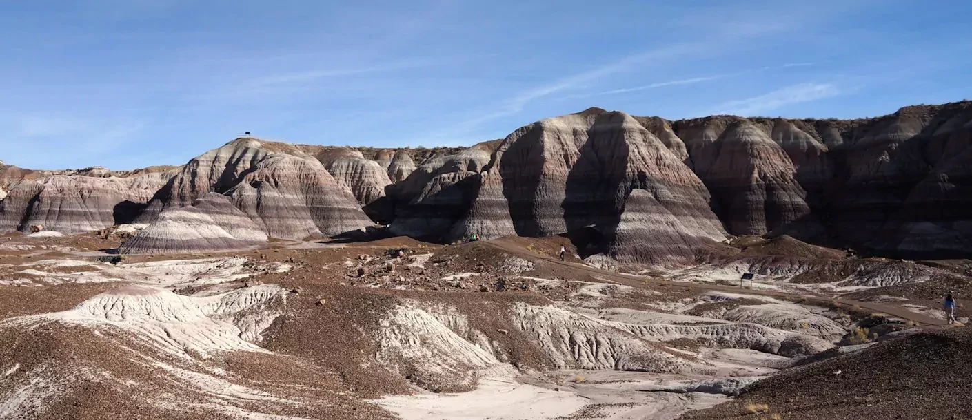 petrified-forest-np.webp