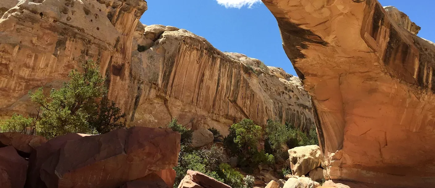 capitol-reef-np.webp