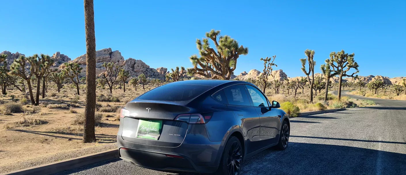 amerika-california-joshua tree np-tesla (5).webp