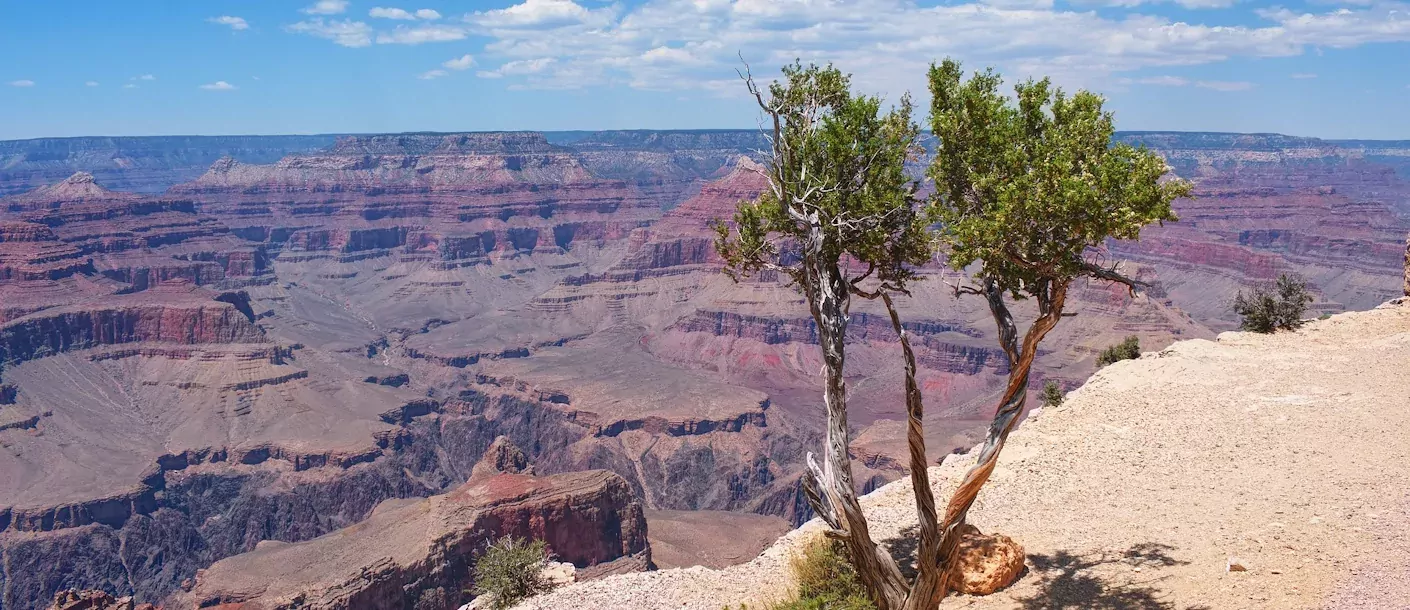 grand-canyon-np.webp