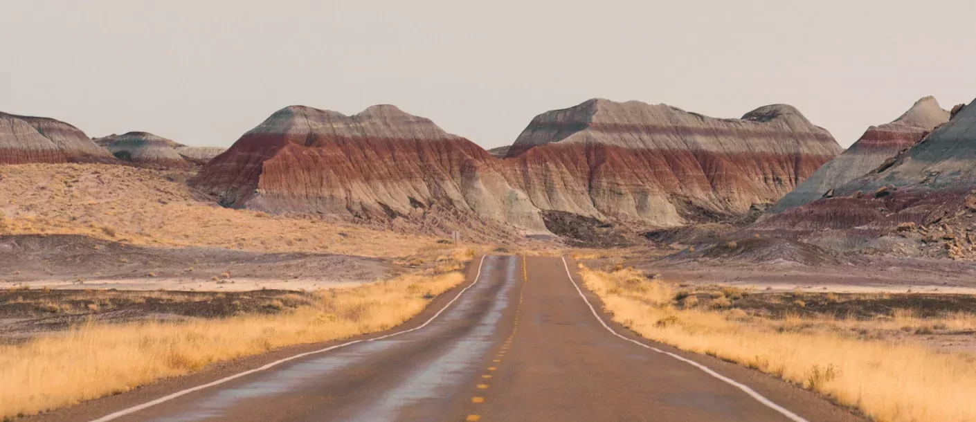 petrified-forest-np.webp