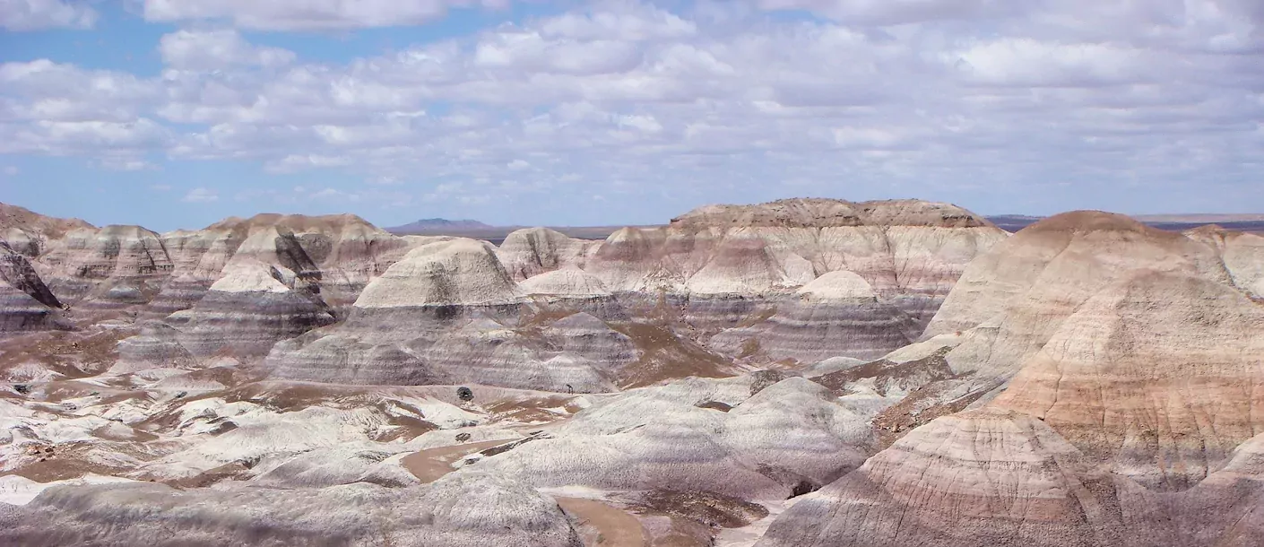 petrified-forest-np.webp