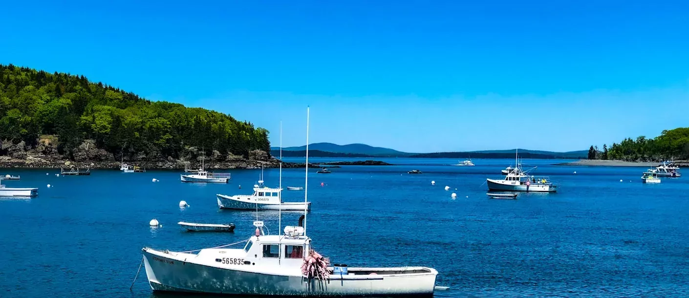 bar-harbor.webp