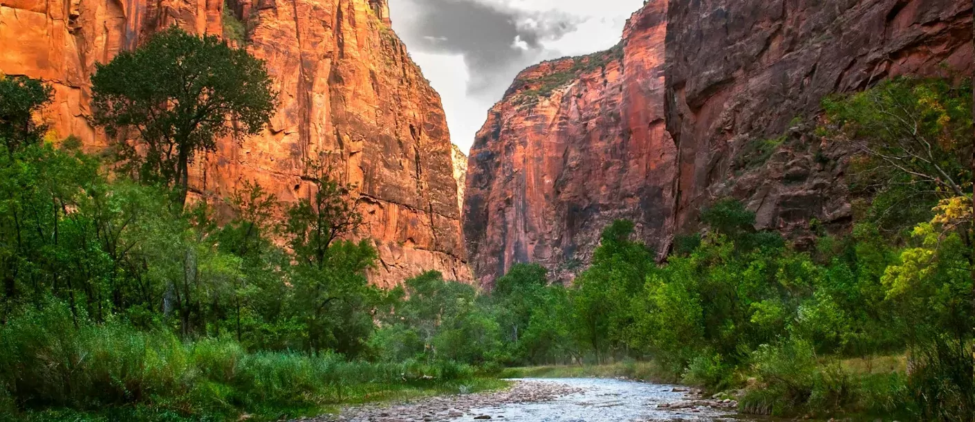 zion-np.webp