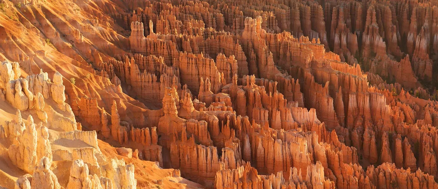 bryce canyon national park.webp