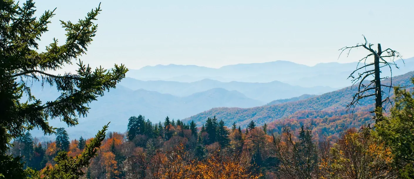 blue ridge mountains.webp