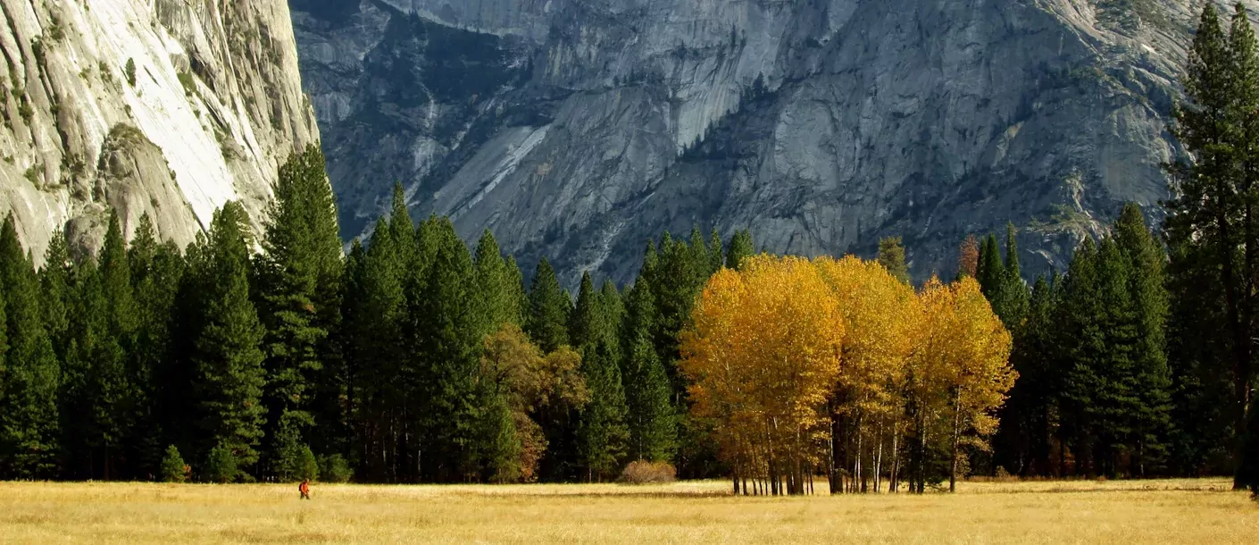 yosemite national park.webp