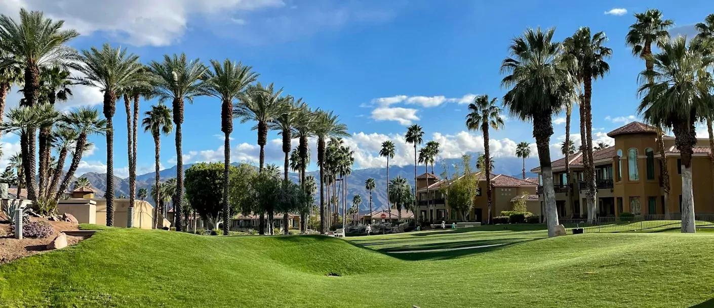 palm springs.webp